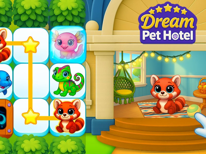 Dream Pet Hotel — adorable pets enjoying their cozy hotel rooms