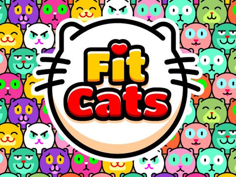 Fit Cats — colorful scene of cats being launched into boxes