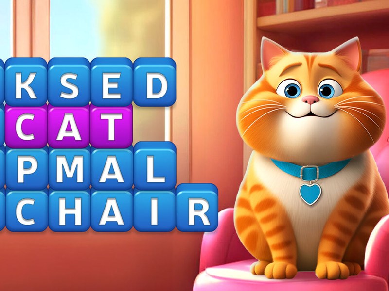 A cute kitten searching for hidden words on a colorful board