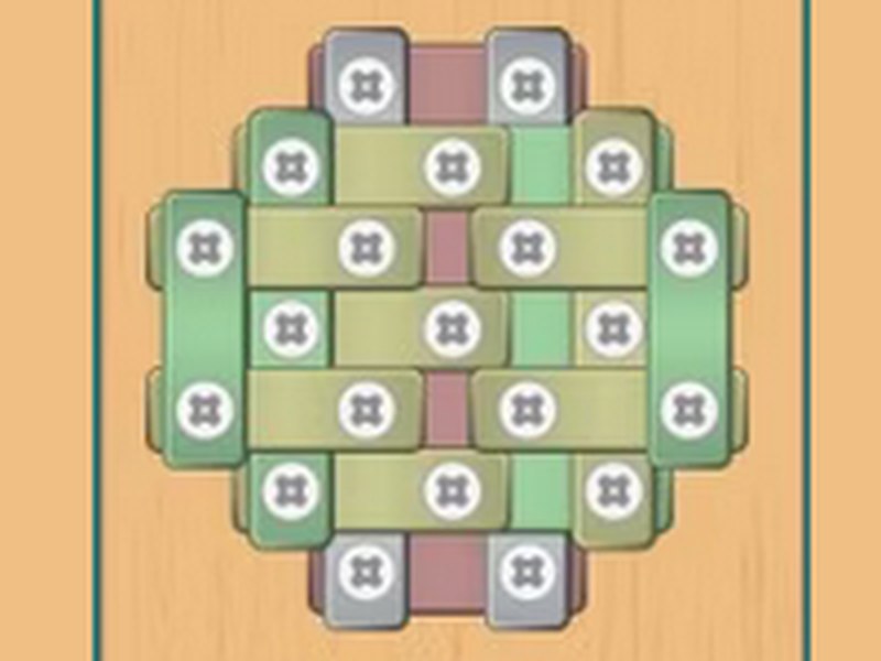 Screws and Bolts Puzzle — colorful screenshot of the game